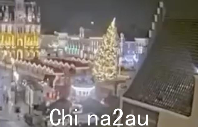 安全摄像机镜头显示了周四比利时市场上树倒塌的那一刻