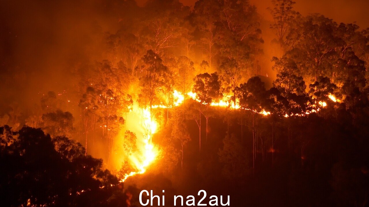 WA DFES 专员提供该州丛林大火的最新情况