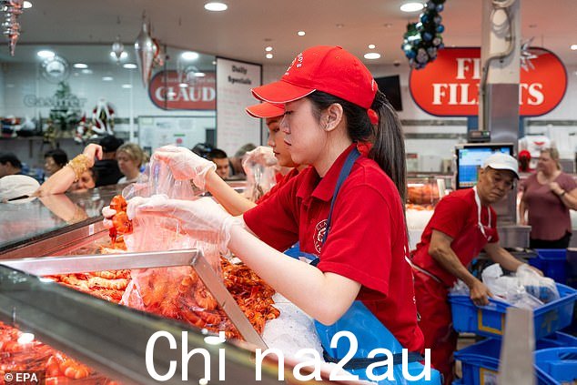 数以千计的澳大利亚人将在本周末涌入海鲜市场,为圣诞节做准备(如图所示,周六的悉尼鱼市场)
