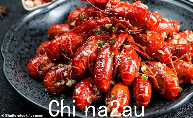 Jack Stein,Rick Stein 餐厅的厨师长表示,我们预计会在我们的水域中看到更多小龙虾(库存图片)