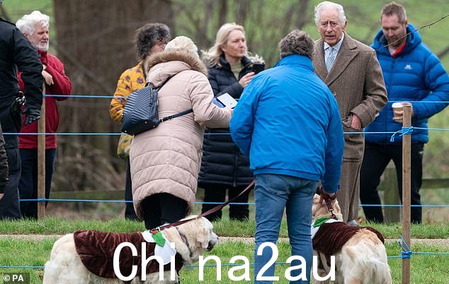 莫纳尔在看到这对穿着节日盛装的小狗后,ch 无法掩饰自己的兴趣