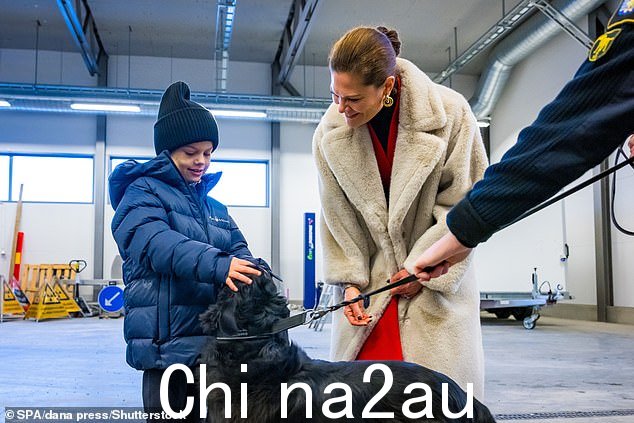 穿着羽绒服的奥斯卡王子很喜欢抚摸狗