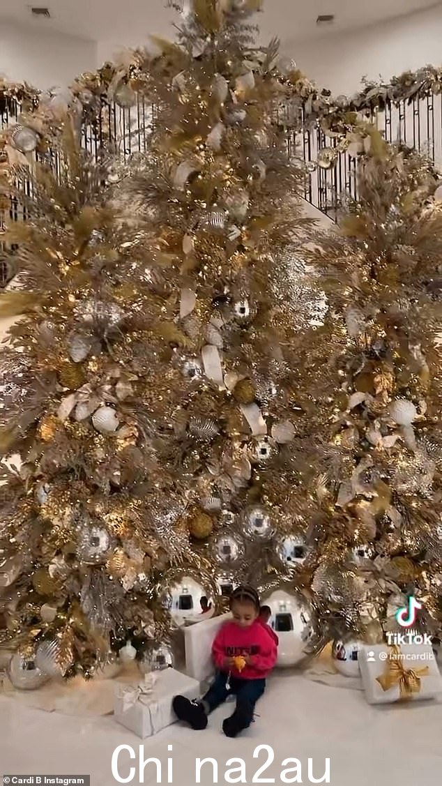房子本身由一棵巨大的绿树装饰,上面有巨大的银球装饰品和金色亮点,令人印象深刻的中心装饰两侧有礼品盒