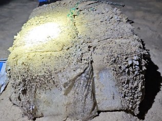 七个被发现含有可卡因的包裹被冲到纽卡斯尔和悉尼之间新南威尔士州海岸的海滩上。图片:提供的