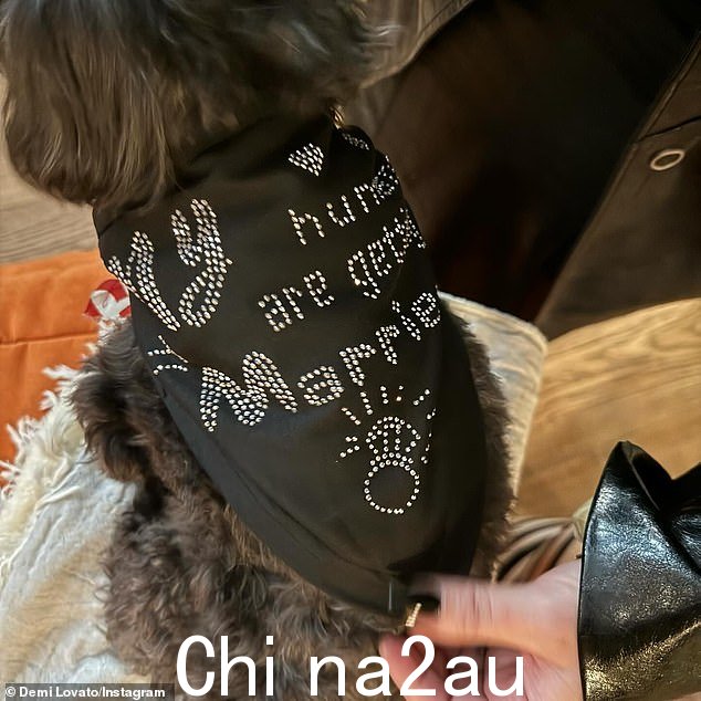 另一张可爱的照片显示,这对夫妇的狗穿着一件连体衣,上面写着“我的人类要结婚了”