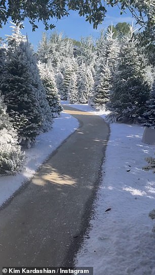 还有大量的假雪和几棵冷杉