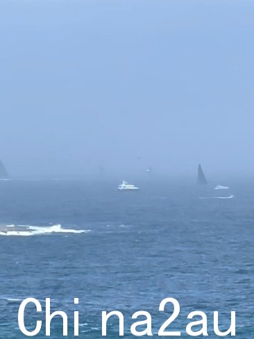 比赛初期船只在雾雨中航行。图片：TikTok