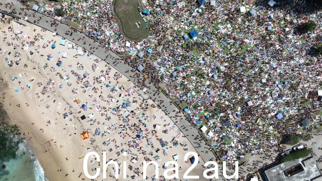 在接下来的大规模清理之后,圣诞节庆祝活动因错误的原因引起了人们的议论图片:提供