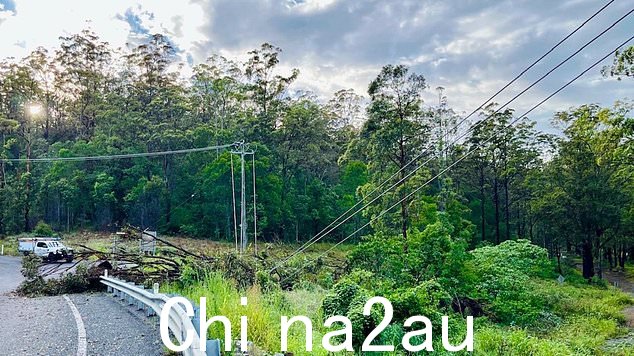 图为昆士兰州东南部遭受大风暴袭击黄金海岸和布里斯班后的一些后果