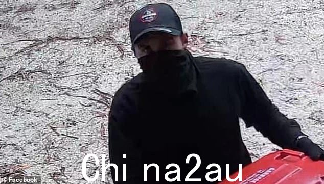 帕特森的朋友在社交媒体上分享了一张涉嫌破坏公物的照片(如图)