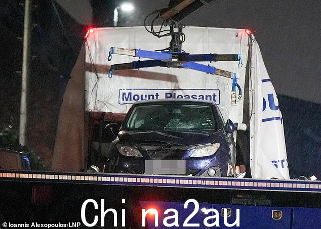 他正试图进行急救,这时一辆超速行驶的汽车(邻居称其时速为 59-60 英里/小时)冲进了聚集在周围的人群
