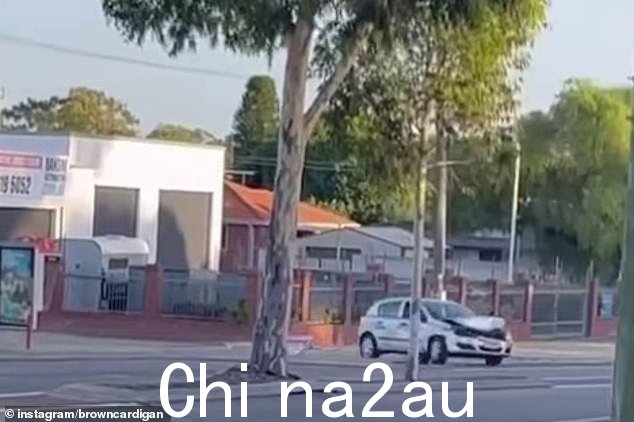 严重受损的掀背车(如图)在事故中排名第二