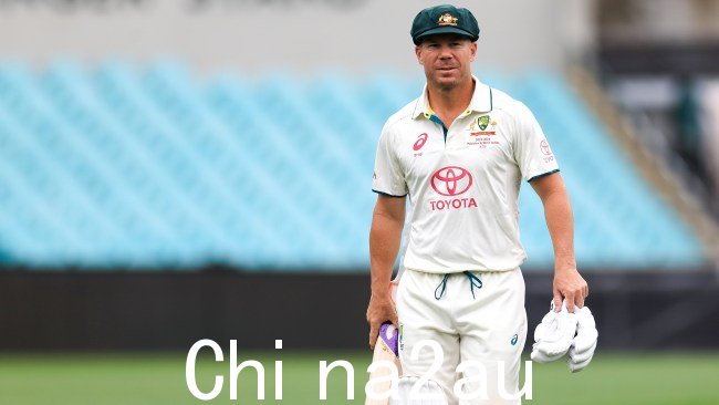 David Warner 已从测试板球和 ODI 退役,结束了传奇的绿色和金色职业生涯。图片:Mark Evans/Getty Images