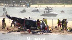 一份临时报告发现，参与海洋世界直升机相撞悲剧的飞行员体内含有可卡因