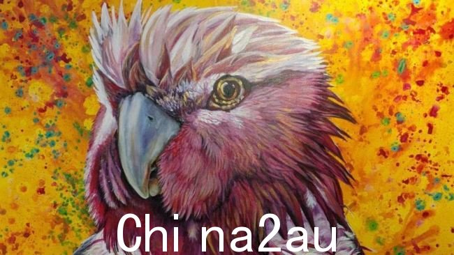 据称莱尔麦克尤恩医院心脏病科的《Wally the Galah》画作被盗最后一次看到它被绑在一名男子准将的屋顶上的单位。图片:南澳警方