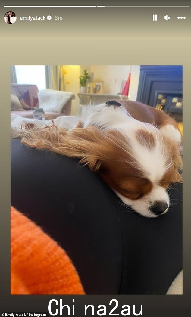 这位女演员分享了一张她的西班牙猎犬 Penny 躺在她隆起的肚子上的甜蜜照片。艾米丽说她被困在家里“感觉很不舒服”