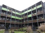 '英国最不适宜居住的地方':逃离受帮派和妓女困扰的集装箱庄园的家庭称生锈的房屋为'第三世界的污水坑',他们的'孩子将在那里被杀害'