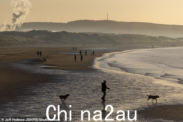 当海滨气温降至零下 4 度时,遛狗者前往尔湾海滩
