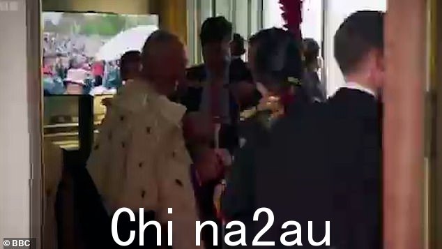 'Hello old bean' - 公主向她新加冕的哥哥国王查尔斯三世致意