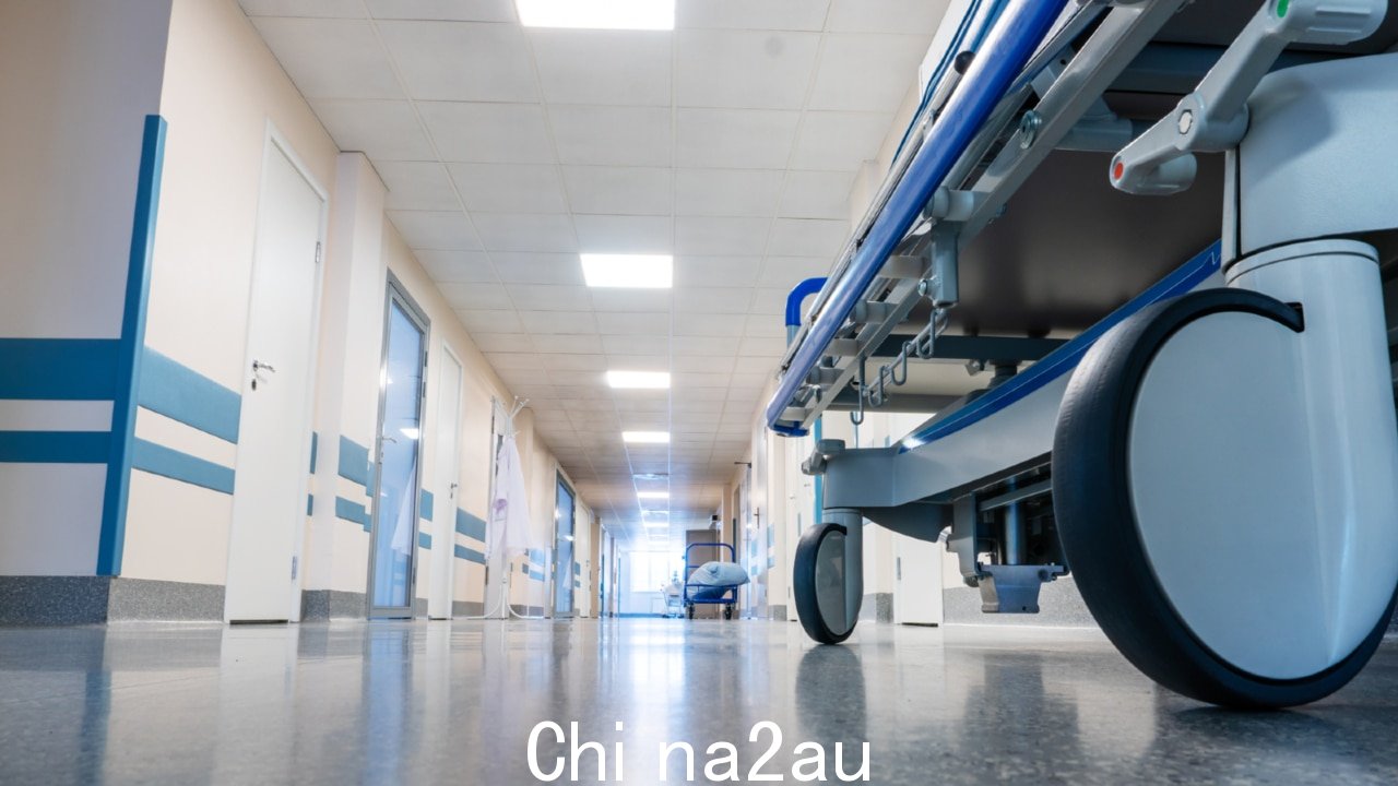 西澳护士工会接受工资提高报价” fetchpriority=