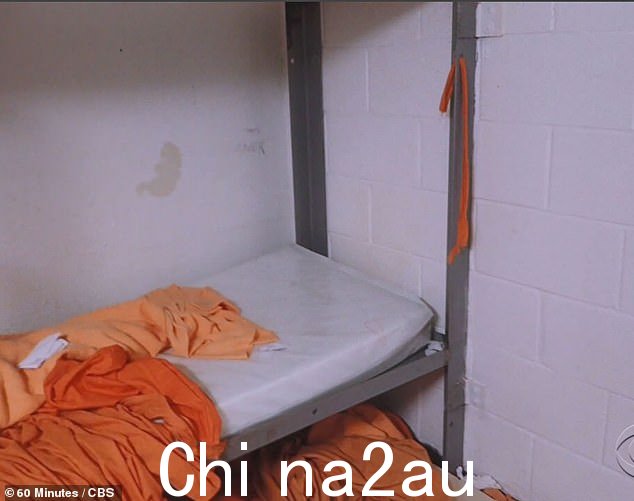 爱泼斯坦牢房内的照片显示,窗户上挂着一些材料碎片,而一大条床上用品也穿过顶部双层床上的一个洞