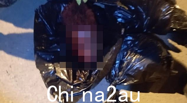 前总统拉索在暴力事件激增的情况下将埃斯梅拉达斯省军事化几周后,发现三人被砍下的头颅包裹在黑色袋子中