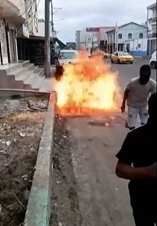政府与贩毒集团之间爆发了“内战”