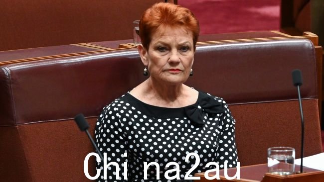 参议员宝琳·汉森 (Pauline Hanson) 表示：“这些企业无法决定我们 1 月 26 日的国庆日是否具有冒犯性。”图片：NCA NewsWire / Martin Ollman