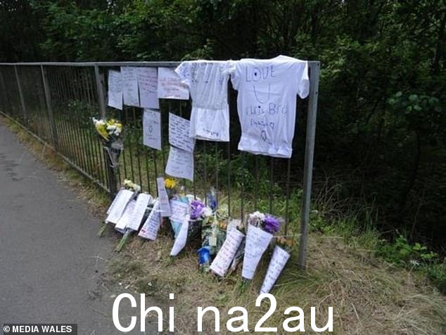 向克里斯托弗在南威尔士朗达赛农塔夫 (Rhondda Cynon Taf) 附近的赛农河 (Fernhill) 去世后致敬