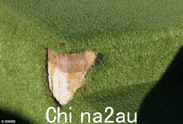 然而,反对者谴责“假草”开发是“浪费金钱”