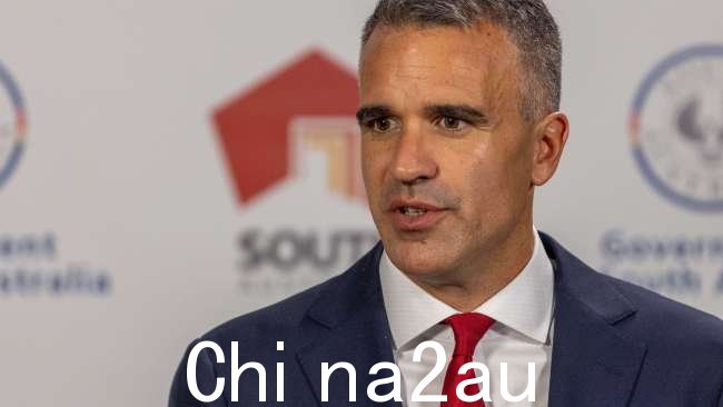 SA 总理 Peter Malinauskas 表示工党“致力于”解决该州日益严重的危机。图片:NCA NewsWire / Ben Clark
