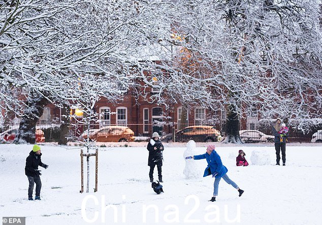 利物浦:家人聚集在格林班克公园打雪仗,遛狗者在一旁观看