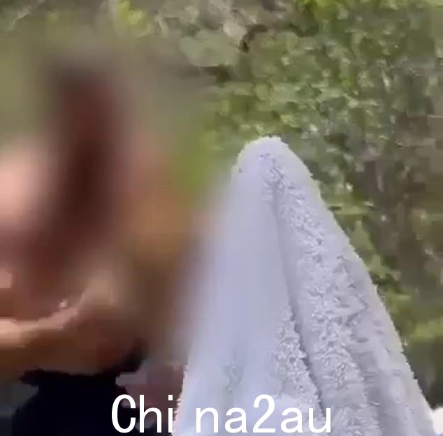 警方根据几份有关 Blackman's Gap 袭击事件的报告展开了调查,Blackman's Gap 位于博因河谷 (Boyne Valley),距离格拉德斯通 (Gladstone) 以南约一小时车程
