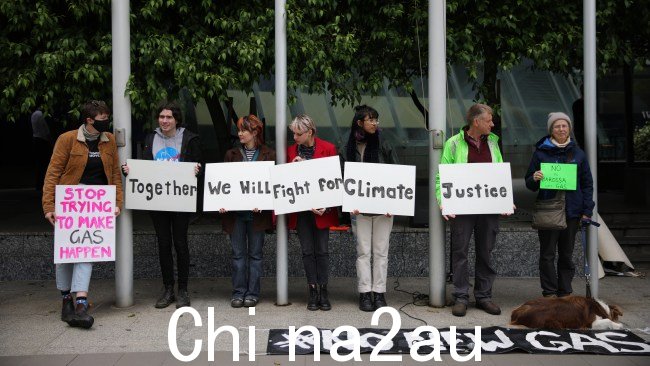 环境主义者多次聚集在联邦法院外,在听证会。图片:Tamati Smith/Getty Images