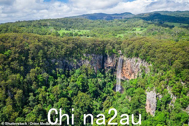 昆士兰警察于同一天晚上 10.30 在 Springbrook 国家公园的 Purling Brook Falls(如图)发现了他的 2022 款大众面包车