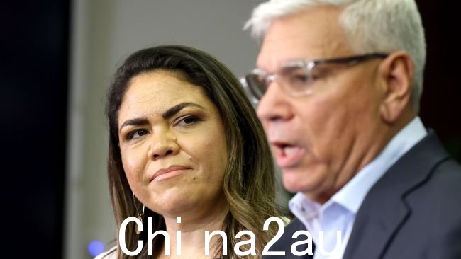 Jacinta Price 和 Warren Mundine 在议会之声公投中领导了反对派。图片:Steve Pohlner