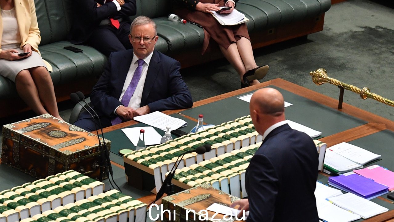 '寻找分割' :Albanese 响应 Dutton 抵制 Woolies 的呼吁