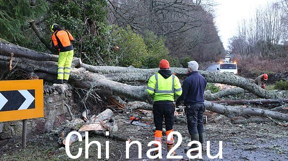 工人试图清理一棵倒下的树，由于风暴“伊莎”对英国部分地区造成损害，正在比尤利附近的贝拉德鲁姆封锁 A833 公路。...pic Peter Jolly