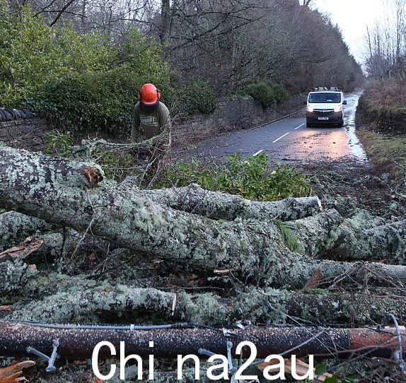 工人试图清理一棵倒下的树，由于风暴“伊莎”对英国部分地区造成损害，正在比尤利附近的贝拉德鲁姆封锁 A833 航班....pic Peter Jolly