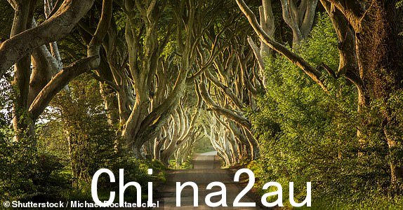 The Dark Hedges 北爱尔兰；Shutterstock ID 759004069；购买订单：-；工作：-；客户：-；其他：-