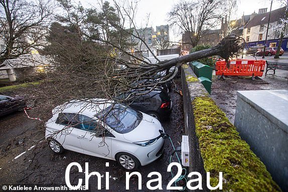 艾莎风暴期间，林利斯戈的四辆车上的树倒下。该国大部分地区都受到黄色大风警告的覆盖。 2024 年 1 月 22 日。时速高达 100 英里的大风一夜之间席卷英国，造成大面积破坏。