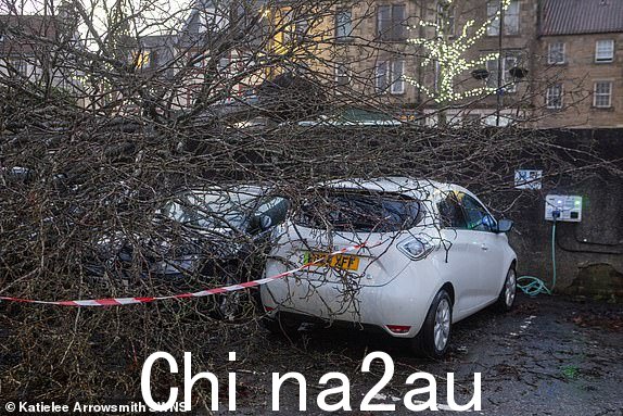 艾莎风暴期间，林利斯戈的四辆车上的树倒下。该国大部分地区都受到黄色大风警告的覆盖。 2024 年 1 月 22 日。时速高达 100 英里的大风一夜之间席卷英国，造成广泛破坏。