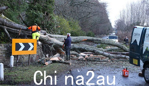 工人试图清理一棵倒下的树，由于风暴“伊莎”对英国部分地区造成损害，在比尤利附近的贝拉德鲁姆封锁了 A833 公路。...pic Peter Jolly
