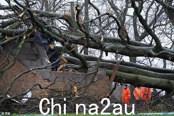 “周日，在伊莎风暴期间，工人们正在移走拉伯特金纳德庄园变电站上倒下的一棵树。风暴伊莎造成两人死亡、一人重伤后，风暴乔斯林将给英国带来更多风雨。图片日期：2024