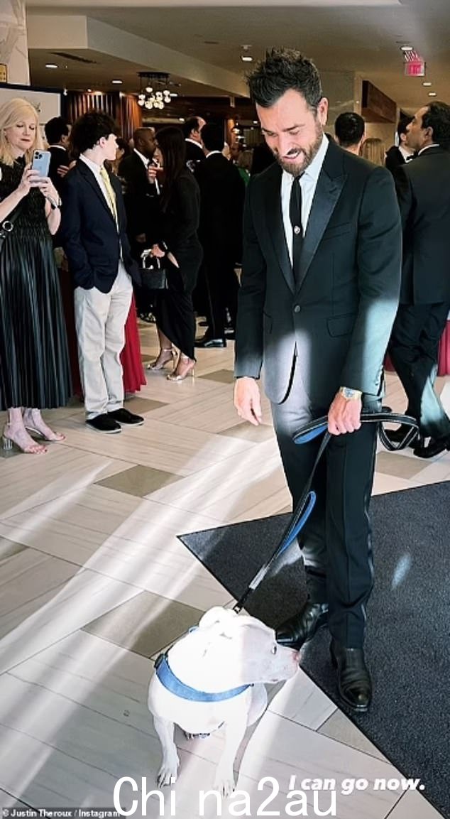 贾斯汀·塞洛克斯 (Justin Theroux) 的斗牛犬 Kuma 受邀参加镇上最热门的活动,去年还陪同她的主人参加了白宫记者晚宴