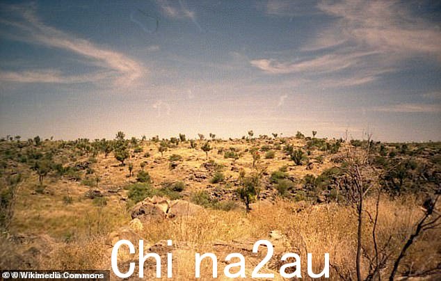 Caroline Creaghe 怀孕了,住在 Lilydale(现在更名为 Riversleigh),这是一个拥有 2500 万年历史的世界遗产化石矿床,当时她参观了 Lawn Hill 并看到了人类的耳朵
