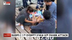 悉尼港鲨鱼袭击事件后，女子作为急救人员，情况稳定，回忆邻居的英勇努力