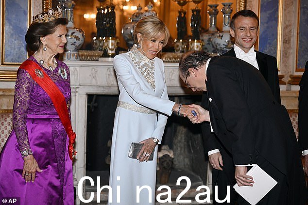 附魔!当一位客人握住她的手并似乎向她鞠躬时,法国第一夫人微笑着
