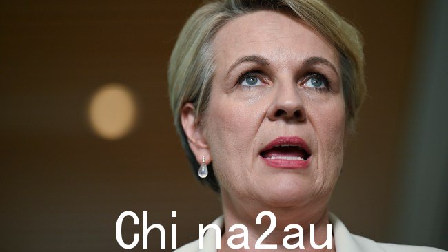 环境和水务部长 Tanya Plibersek 支持男女同校的好处，但表示此事由学校决定。图片：NCA NewsWire / Martin Ollman