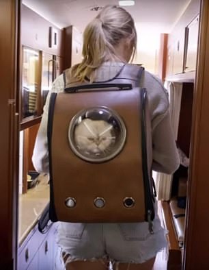 泰勒·斯威夫特在美国小姐大赛中抱着她的猫